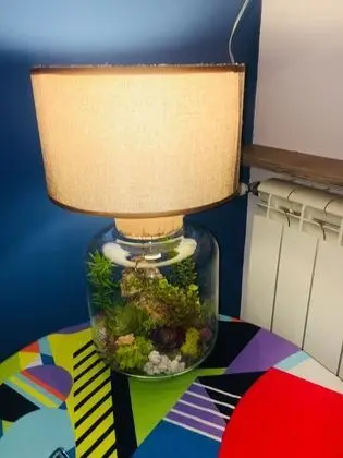 Tek Büyük veya İki Ayrı Yataklı Oda, Banyolu/Duşlu (Small Room) (Light Blue)