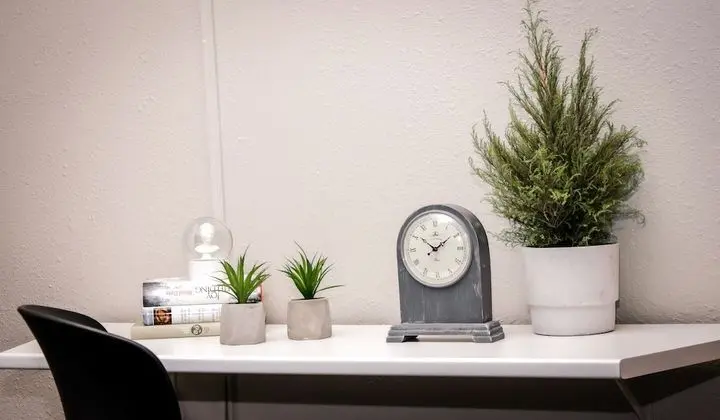 Classic Tek Büyük veya İki Ayrı Yataklı Oda, Ortak Banyo