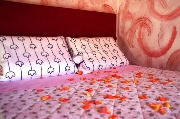 Standard Tek Kişilik Oda, 1 Tek Kişilik XL Yatak, Sigara İçilmez, Bahçe Manzaralı