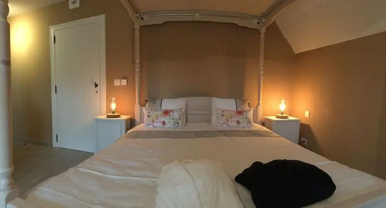 Deluxe Tek Büyük Yataklı Oda (Roza)
