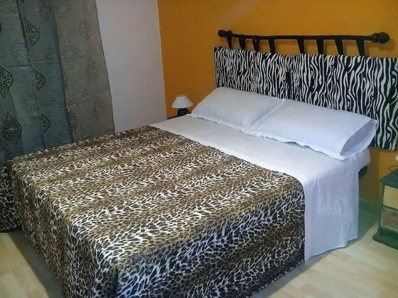 Tek Büyük Yataklı Oda, Banyolu/Duşlu (Africa)