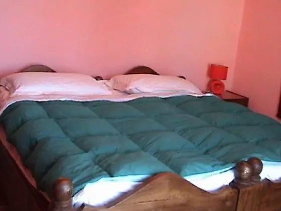 Classic Tek Büyük Yataklı Oda, Bahçe Manzaralı