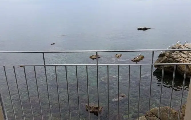 Tek Büyük Yataklı Oda, Balkon, Deniz Manzaralı