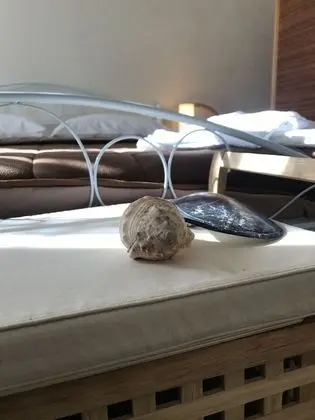 Comfort Oda, Engellilere Uygun, Avlu Manzaralı