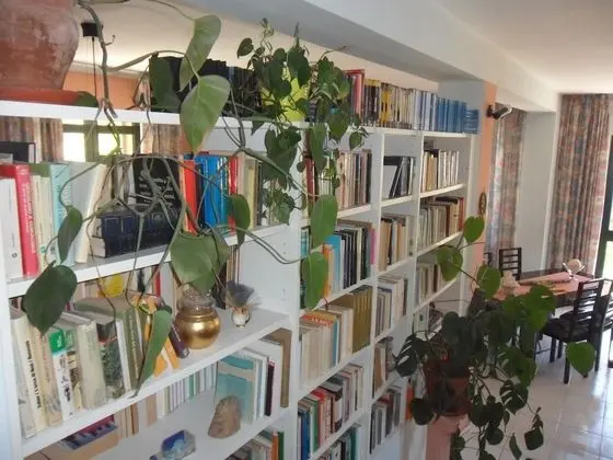 Exclusive Üç Kişilik Oda, 1 Yatak Odası, Ortak Banyo