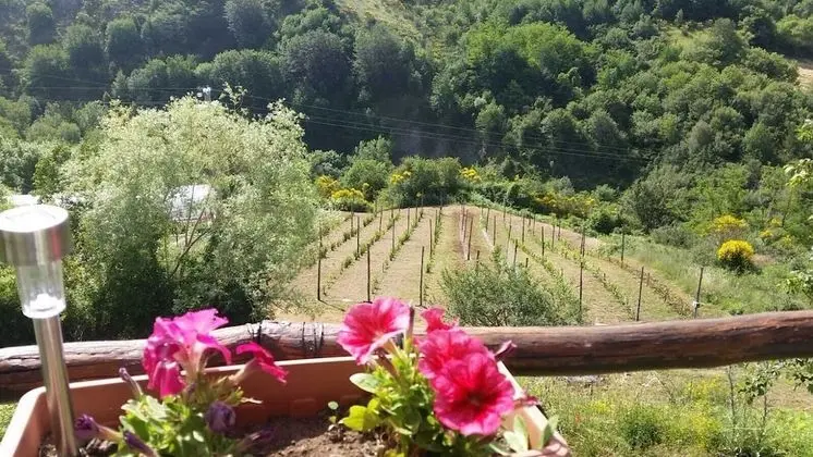 Comfort Tek Büyük Yataklı Oda, 1 En Büyük (King) Boy Yatak, Banyolu/Duşlu, Dağ Manzaralı