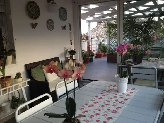 Üç Kişilik Oda (Shabby)