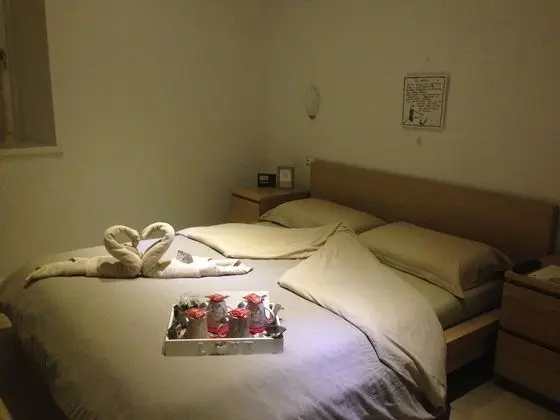 Superior Tek Büyük Yataklı Oda (Volpe)