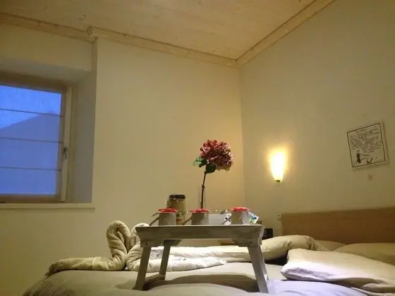 Superior Tek Büyük Yataklı Oda (Volpe)