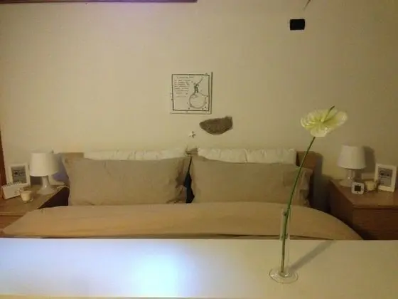 Tek Büyük Yataklı Oda (Rosa)