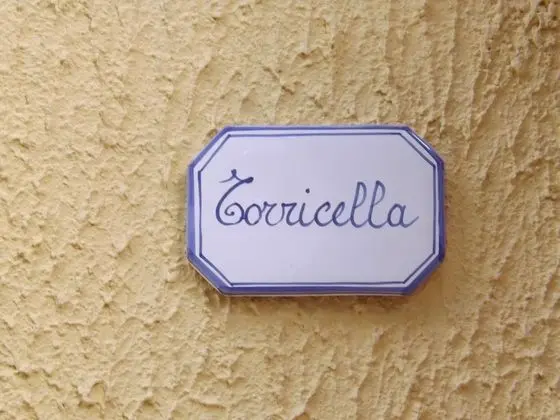 Tek Büyük Yataklı Oda, Teras