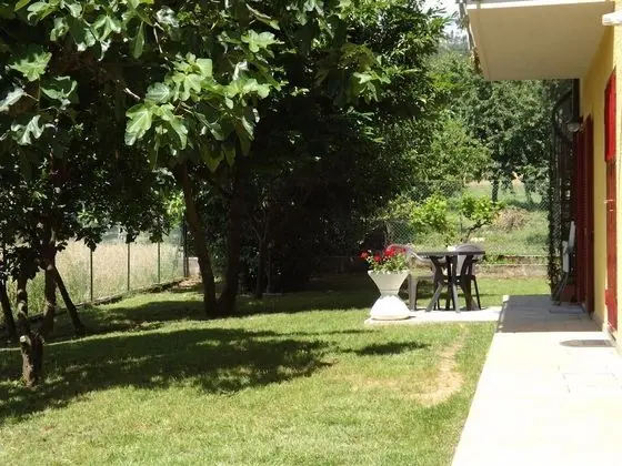 Tek Büyük Yataklı Oda, Teras