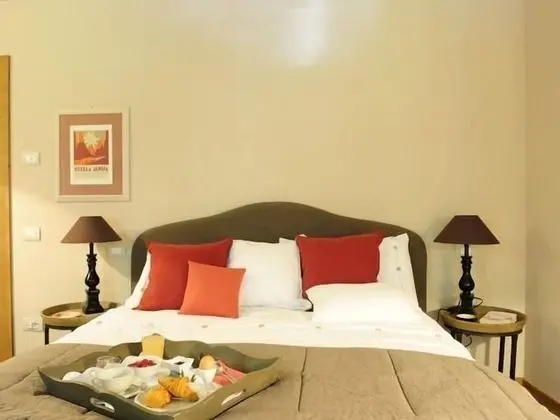 Superior Tek Büyük Yataklı Oda, Banyolu/Duşlu, Bahçe Manzaralı