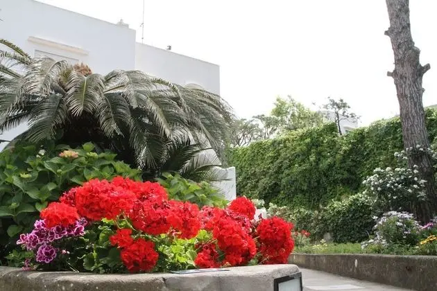 Standard Oda, Bahçe Manzaralı