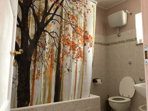 Panoramic Tek Büyük Yataklı Oda, Banyolu/Duşlu