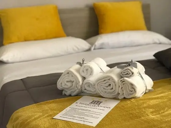 Comfort Tek Büyük veya İki Ayrı Yataklı Oda (4)