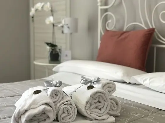 Deluxe Tek Büyük veya İki Ayrı Yataklı Oda (2)