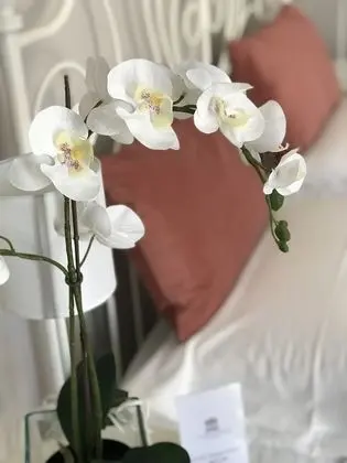 Deluxe Tek Büyük veya İki Ayrı Yataklı Oda (2)
