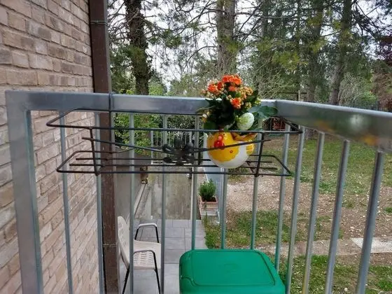 Stüdyo, Bahçe Manzaralı (Pineta)