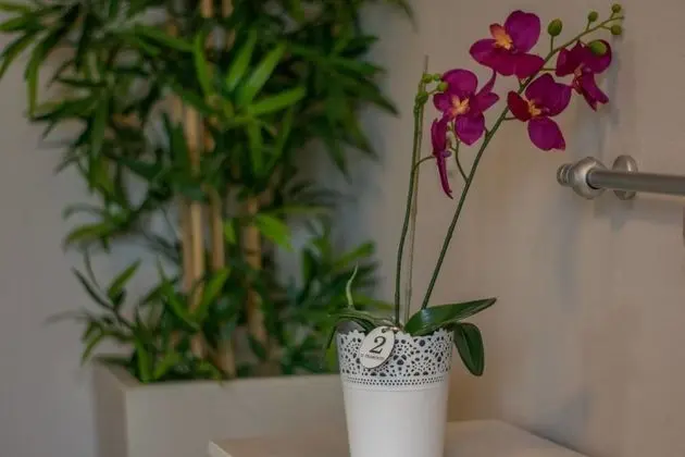 Tek Büyük Yataklı Oda (Inverno)