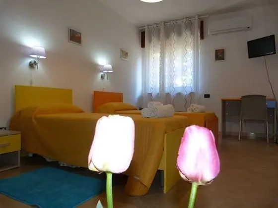 İki Ayrı Yataklı Oda (External private bathroom)