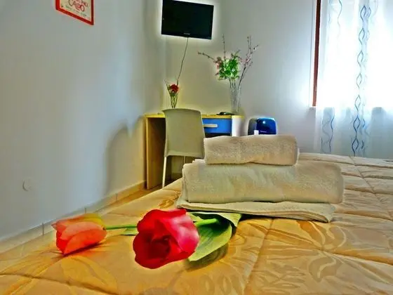 Tek Büyük Yataklı Oda (External private bathroom)