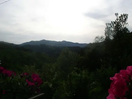 Apart Daire, 1 Yatak Odası (Arancione)