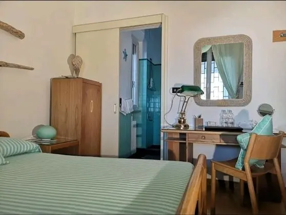 Classic Tek Büyük Yataklı Oda, Banyolu/Duşlu