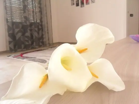 City Tek Büyük Yataklı Oda, Ortak Banyo