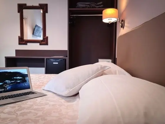 Tek Büyük Yataklı Oda, Banyolu/Duşlu (Minerva)