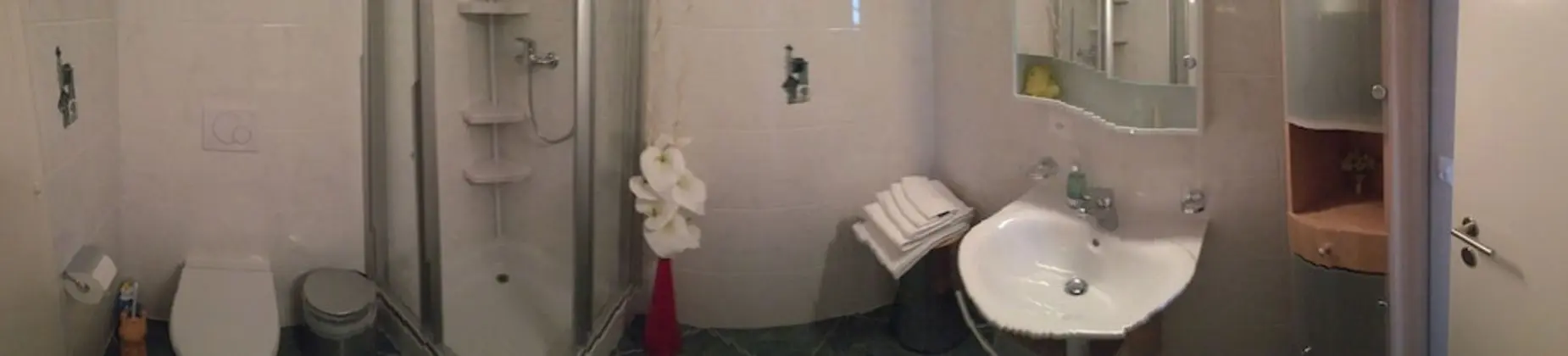 Executive Tek Büyük Yataklı Oda, 1 Büyük (Queen) Boy Yatak, Özel Banyo, Executive Katı