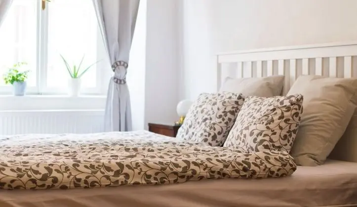 Exclusive Tek Büyük Yataklı Oda (Under Cesky Krumlov Castle)