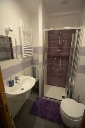 Tek Büyük Yataklı Oda, Özel Banyo (External)