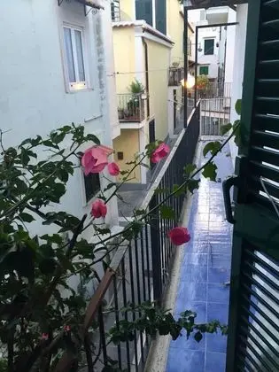 Basic Tek Büyük Yataklı Oda, Küçük Mutfak