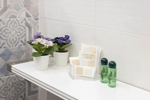 Superior Tek Büyük Yataklı Oda, Sigara İçilmez, Banyolu/Duşlu