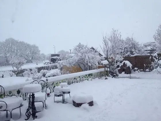 Traditional Tek Büyük Yataklı Oda, Özel Banyo, Bahçeli