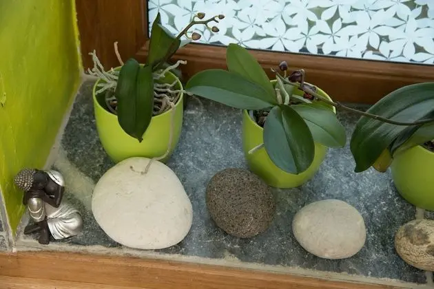 Traditional Tek Büyük Yataklı Oda, Özel Banyo, Bahçeli