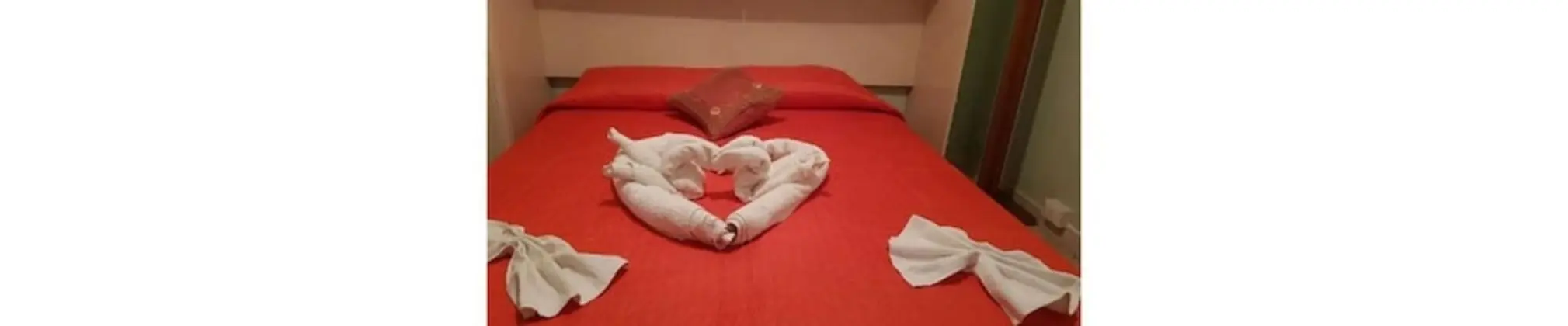 Tek Büyük veya İki Ayrı Yataklı Oda, Özel Banyo