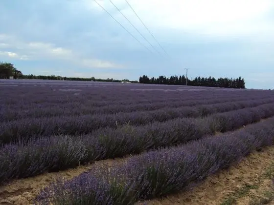 Karavan, 2 Yatak Odası