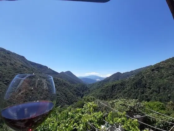 Panoramic Tek Büyük Yataklı Oda, 1 Çift Kişilik Yatak, Vadi Manzaralı
