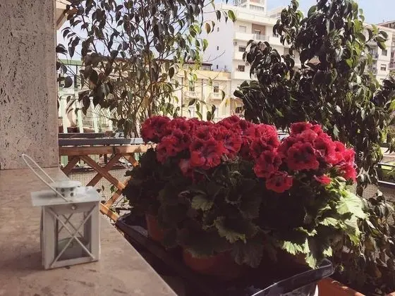 Dört Kişilik Oda