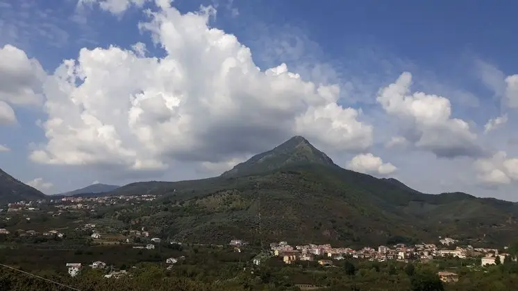 Tek Büyük veya İki Ayrı Yataklı Oda (Violetta)