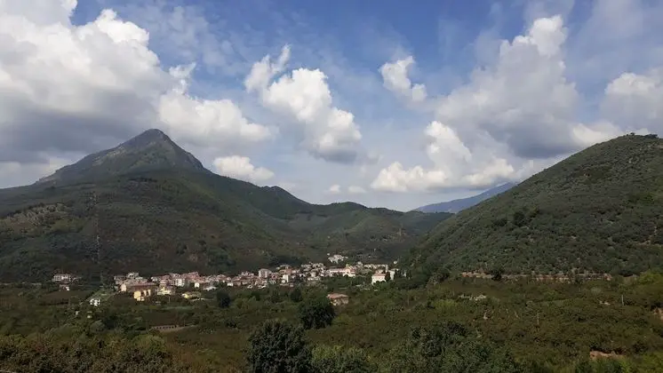 Tek Büyük veya İki Ayrı Yataklı Oda (Violetta)