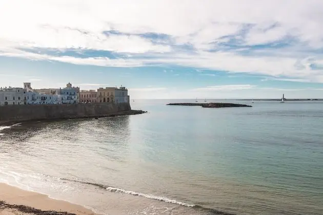 Superior Tek Büyük Yataklı Oda, Deniz Manzaralı