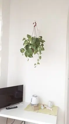 Tek Büyük veya İki Ayrı Yataklı Oda, Ortak Banyo
