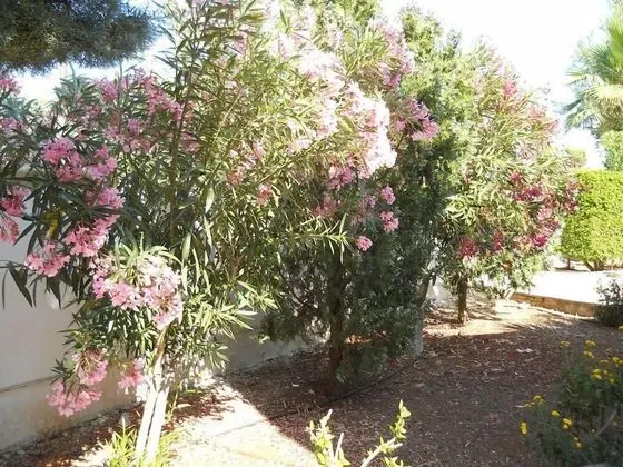 Apart Daire, 4 Yatak Odası