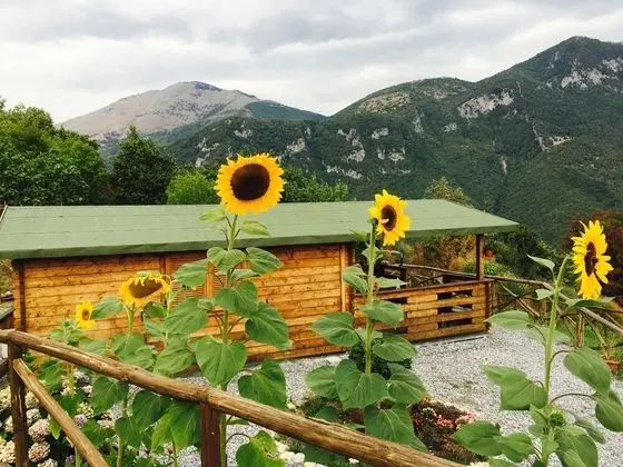 Deluxe Bungalov, Birden Çok Yatak, Sigara İçilmez