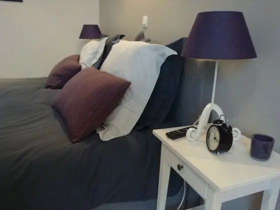 Deluxe Tek Büyük Yataklı Oda, 1 En Büyük (King) Boy Yatak