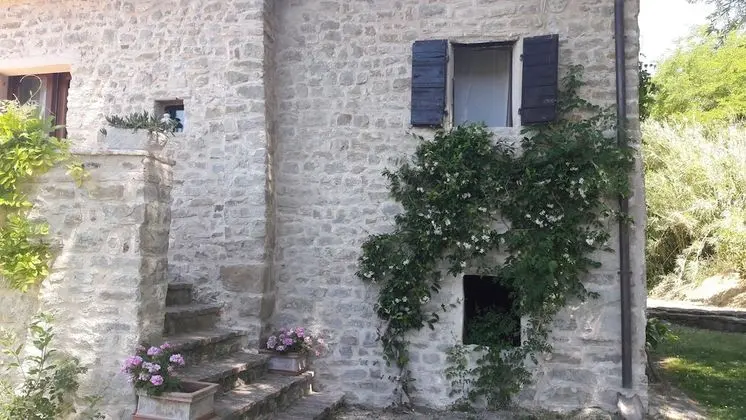 Tek Büyük Yataklı Oda, Banyolu/Duşlu