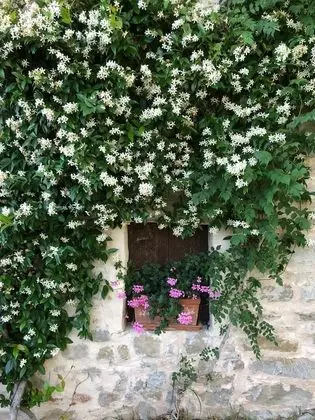 Tek Büyük Yataklı Oda, Banyolu/Duşlu